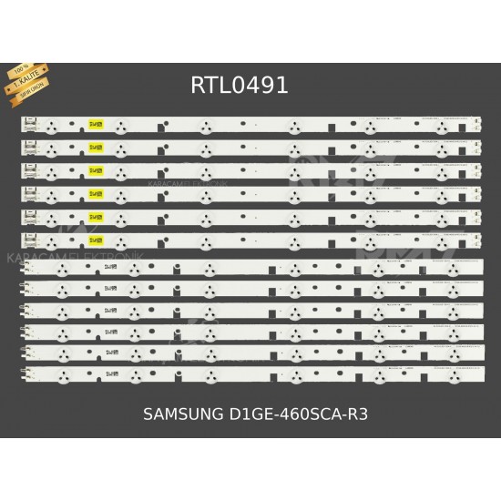 SAMSUNG D1GE-460SCA-R3